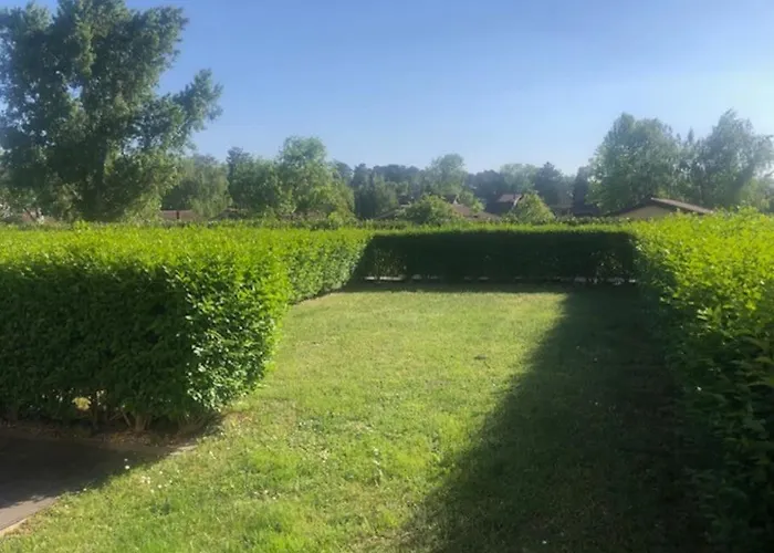 Golden Luxury Appartement *